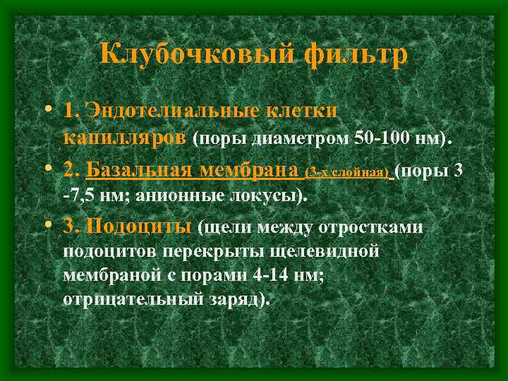 Клубочковый фильтр • 1. Эндотелиальные клетки капилляров (поры диаметром 50 -100 нм). • 2.
