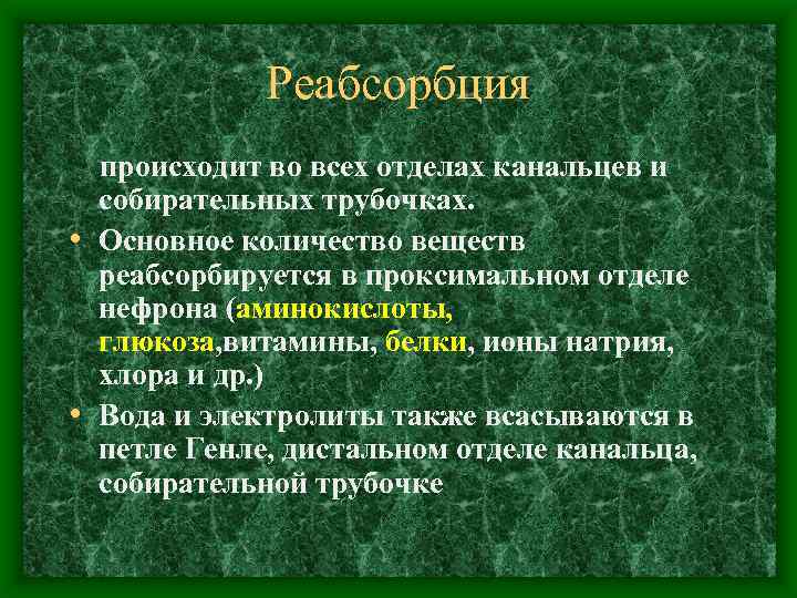 Реабсорбция происходит во всех отделах канальцев и собирательных трубочках. • Основное количество веществ реабсорбируется