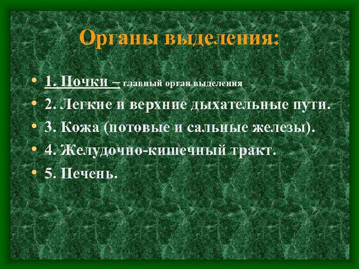 Органы выделения: • • • 1. Почки – главный орган выделения 2. Легкие и