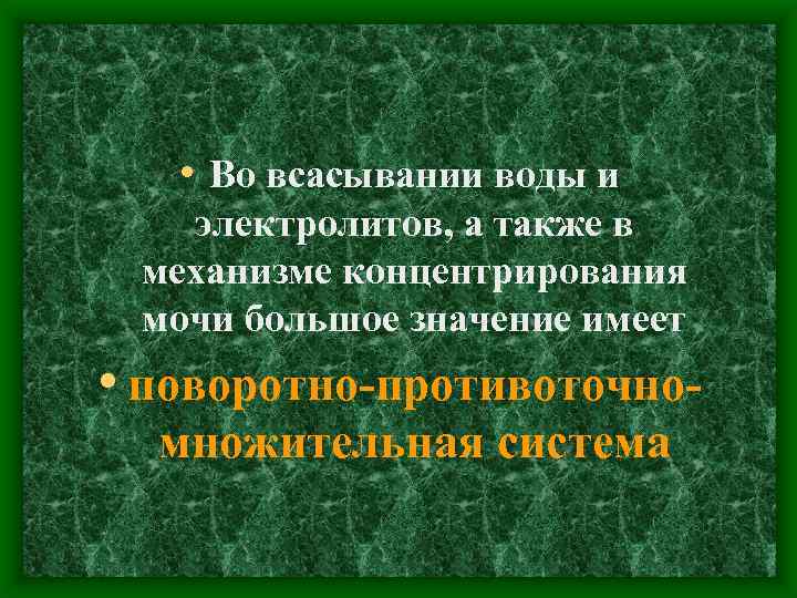  • Во всасывании воды и электролитов, а также в механизме концентрирования мочи большое