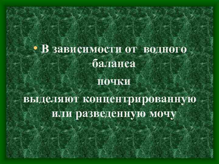  • В зависимости от водного баланса почки выделяют концентрированную или разведенную мочу 