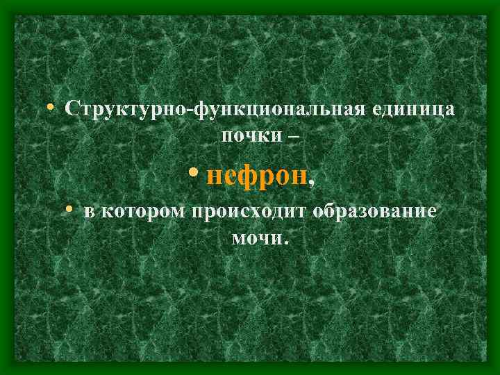  • Структурно-функциональная единица почки – • нефрон, • в котором происходит образование мочи.