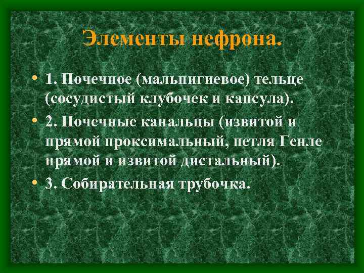 Элементы нефрона. • 1. Почечное (мальпигиевое) тельце (сосудистый клубочек и капсула). • 2. Почечные