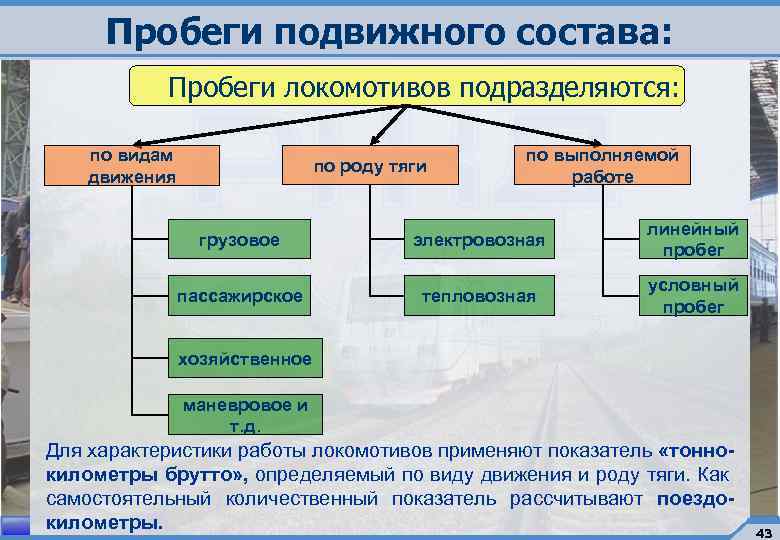 Пробежал по составу