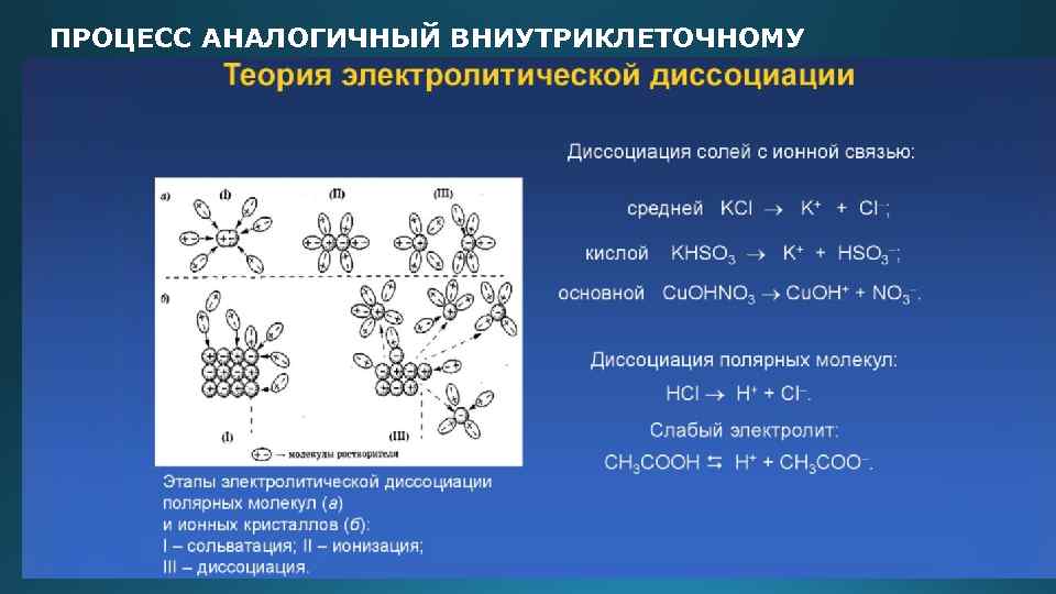 ПРОЦЕСС АНАЛОГИЧНЫЙ ВНИУТРИКЛЕТОЧНОМУ 