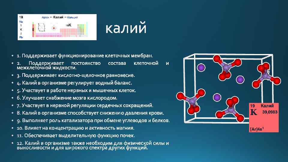 Калий участие в обмене веществ