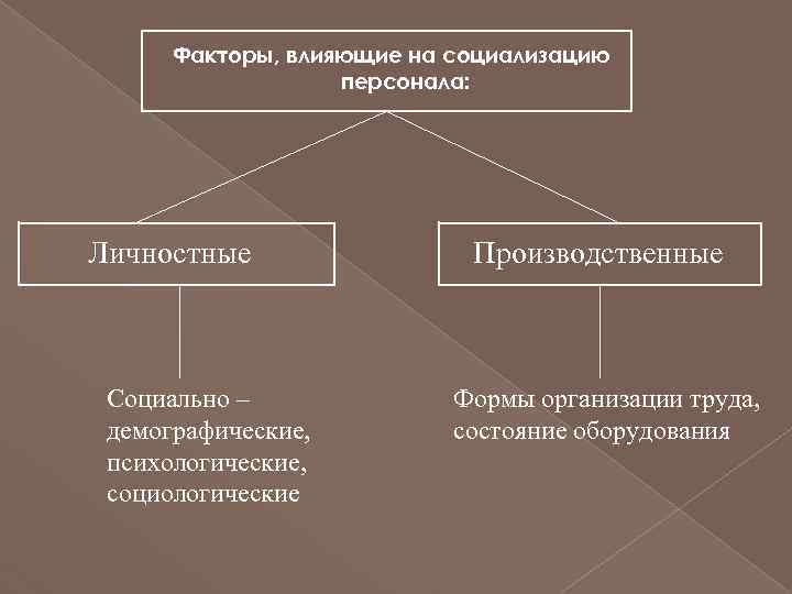Факторы, влияющие на социализацию персонала: Личностные Социально – демографические, психологические, социологические Производственные Формы организации