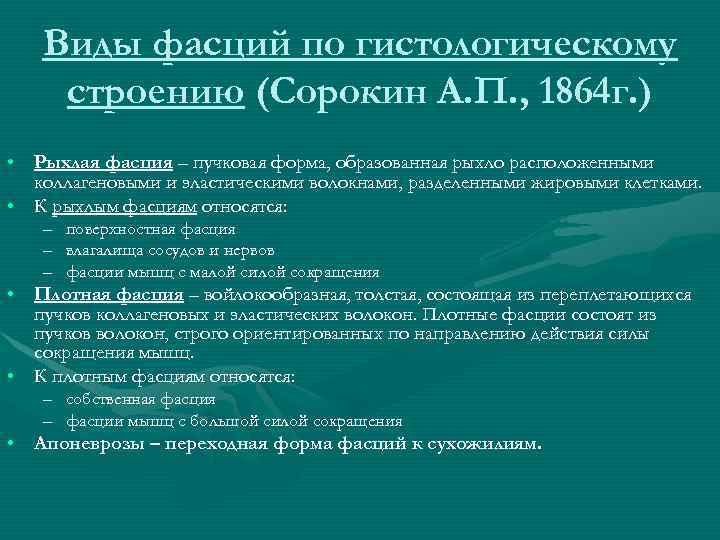 Виды фасций по гистологическому строению (Сорокин А. П. , 1864 г. ) • Рыхлая