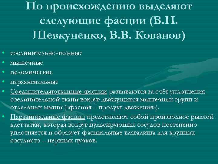 По происхождению выделяют следующие фасции (В. Н. Шевкуненко, В. В. Кованов) • • •