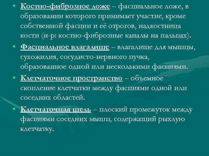  • Костно-фиброзное ложе – фасциальное ложе, в образовании которого принимает участие, кроме собственной
