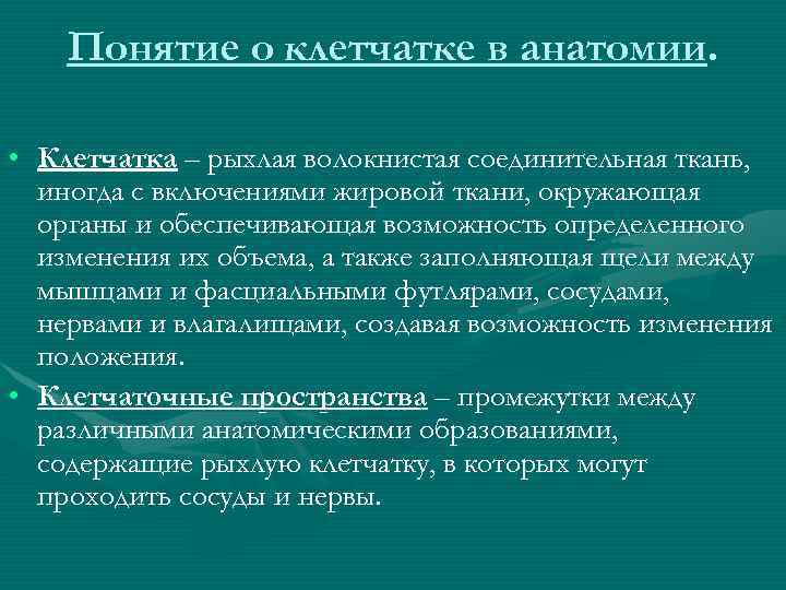 Понятие о клетчатке в анатомии. • Клетчатка – рыхлая волокнистая соединительная ткань, иногда с