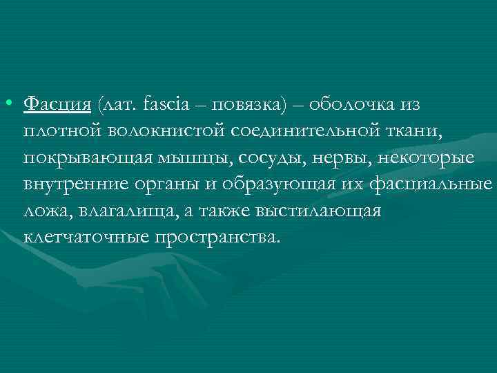  • Фасция (лат. fascia – повязка) – оболочка из плотной волокнистой соединительной ткани,