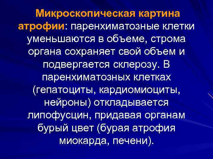 Микроскопическая картина атрофии: паренхиматозные клетки уменьшаются в объеме, строма органа сохраняет свой объем и