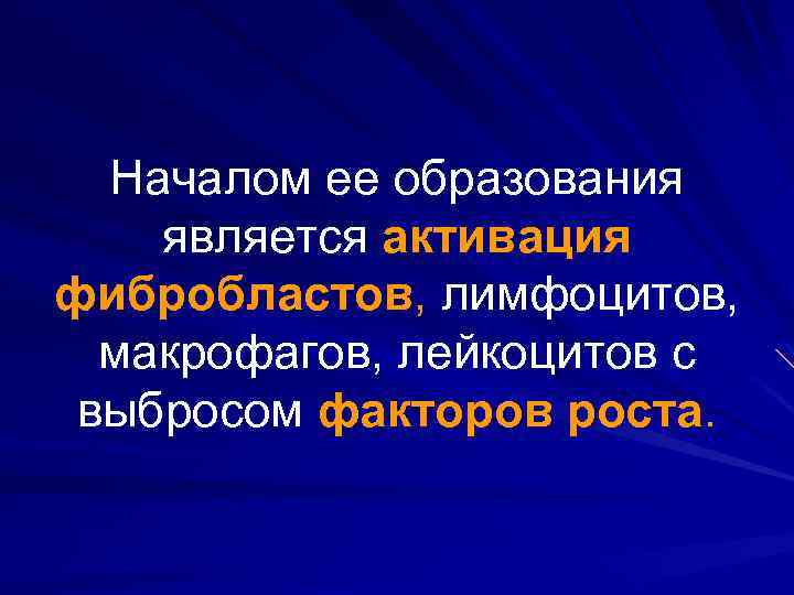 Началом ее образования является активация фибробластов, лимфоцитов, макрофагов, лейкоцитов с выбросом факторов роста. 