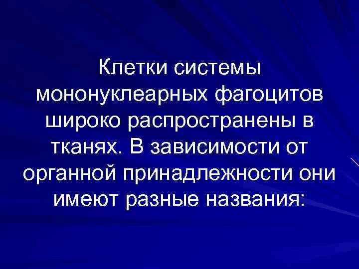 Клетки системы мононуклеарных фагоцитов широко распространены в тканях. В зависимости от органной принадлежности они