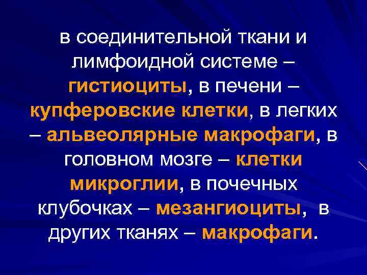 в соединительной ткани и лимфоидной системе – гистиоциты, в печени – купферовские клетки, в