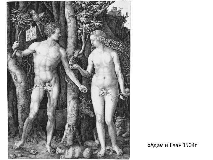  «Адам и Ева» 1504 г 