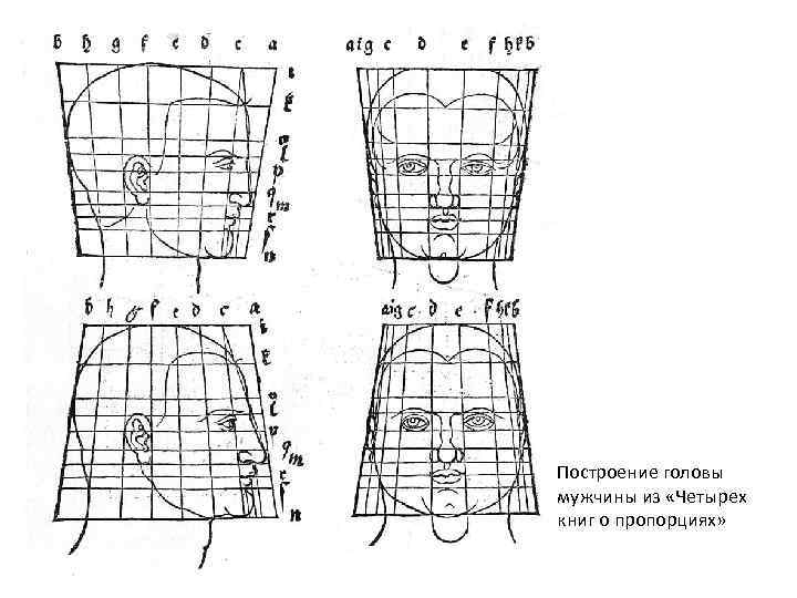 Построение головы мужчины из «Четырех книг о пропорциях» 