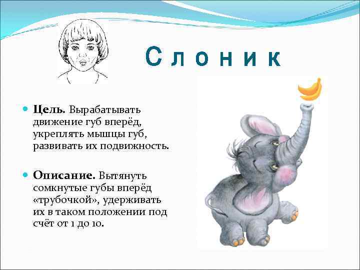 Слоник Цель. Вырабатывать движение губ вперёд, укреплять мышцы губ, развивать их подвижность. Описание. Вытянуть