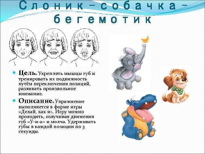 Слоник – собачка – бегемотик Цель. Укреплять мышцы губ и тренировать их подвижность путём