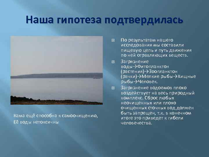 Исследовательский проект загрязнение воды