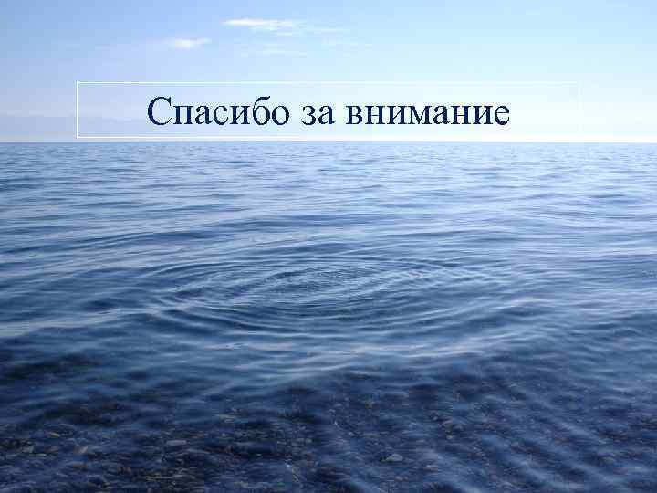 Спасибо за внимание! Спасибо за внимание 