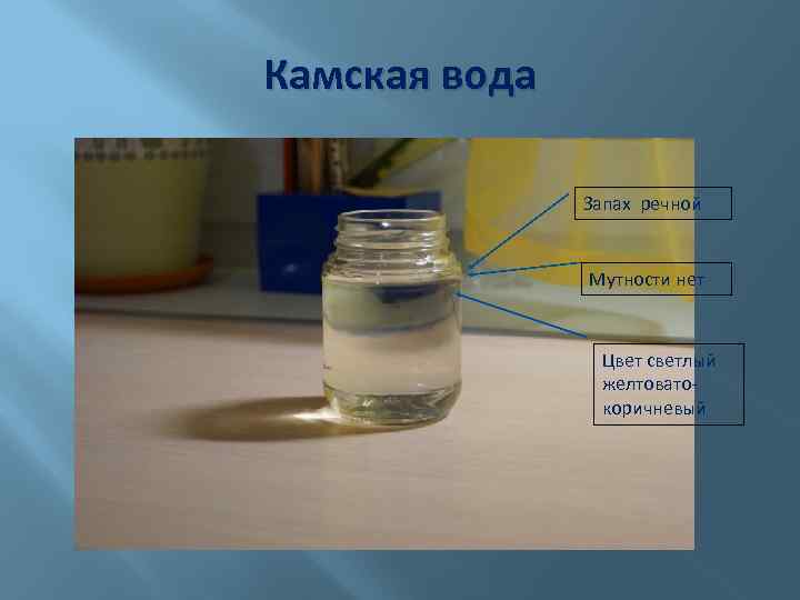 Камская вода Запах речной Мутности нет Цвет светлый желтоватокоричневый 