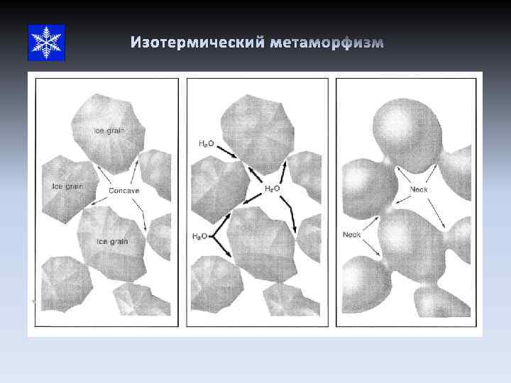 Изотермический метаморфизм 