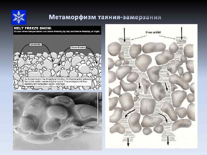 Метаморфизм таяния-замерзания 