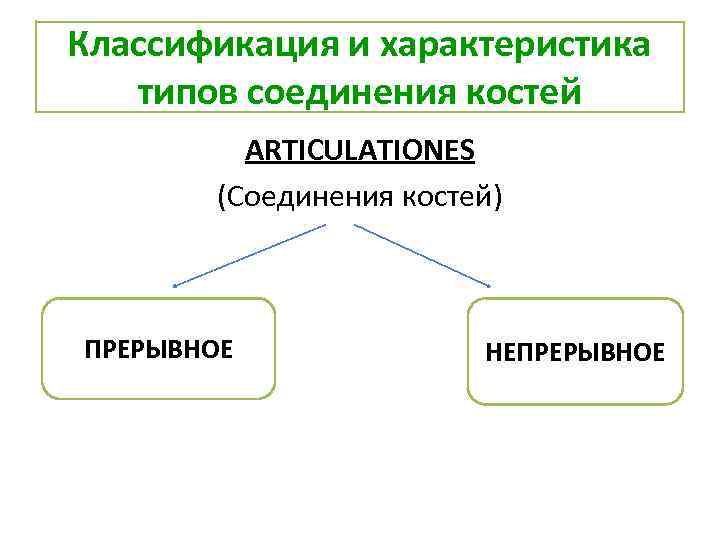 Классификация и характеристика типов соединения костей ARTICULATIONES (Соединения костей) ПРЕРЫВНОЕ НЕПРЕРЫВНОЕ 