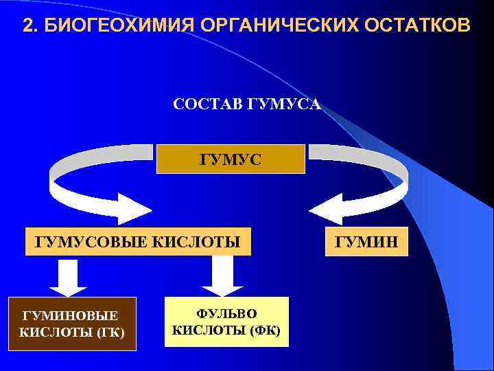 2. БИОГЕОХИМИЯ ОРГАНИЧЕСКИХ ОСТАТКОВ СОСТАВ ГУМУСА ГУМУСОВЫЕ КИСЛОТЫ ГУМИНОВЫЕ КИСЛОТЫ (ГК) ФУЛЬВО КИСЛОТЫ (ФК)