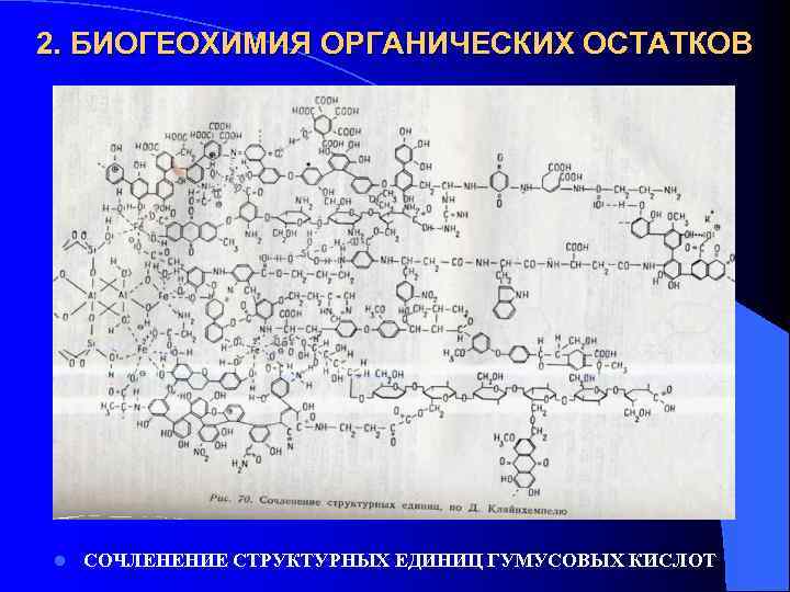 2. БИОГЕОХИМИЯ ОРГАНИЧЕСКИХ ОСТАТКОВ l СОЧЛЕНЕНИЕ СТРУКТУРНЫХ ЕДИНИЦ ГУМУСОВЫХ КИСЛОТ 
