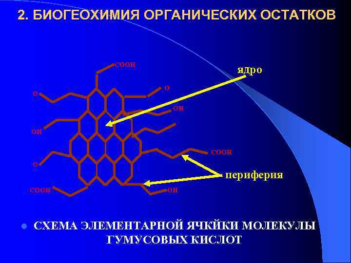 2. БИОГЕОХИМИЯ ОРГАНИЧЕСКИХ ОСТАТКОВ СООН О ядро О ОН ОН СООН О СООН l
