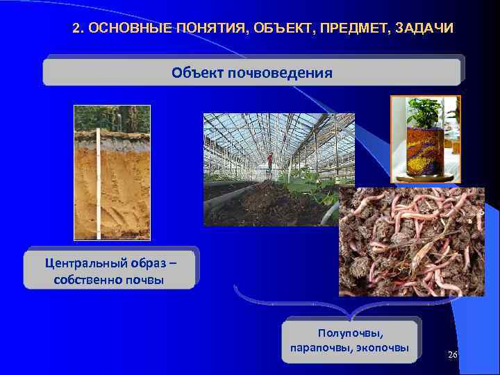 2. ОСНОВНЫЕ ПОНЯТИЯ, ОБЪЕКТ, ПРЕДМЕТ, ЗАДАЧИ Объект почвоведения Центральный образ – собственно почвы Полупочвы,