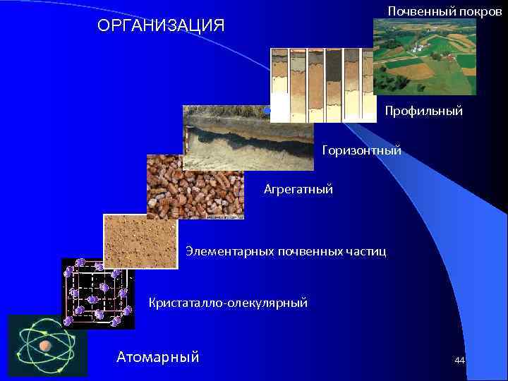 Почвенный покров ОРГАНИЗАЦИЯ Профильный l Горизонтный Агрегатный Элементарных почвенных частиц Кристаталло-олекулярный Атомарный 44 
