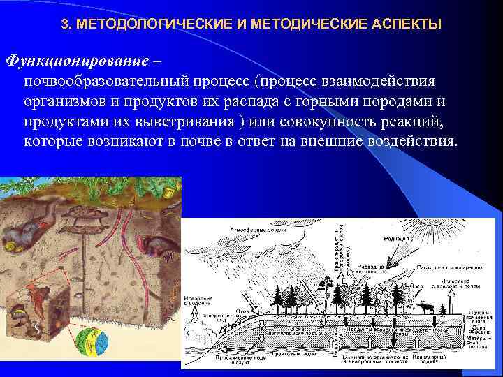 Схема почвообразовательного процесса