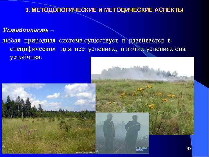 3. МЕТОДОЛОГИЧЕСКИЕ И МЕТОДИЧЕСКИЕ АСПЕКТЫ Устойчивость – любая природная система существует и развивается в