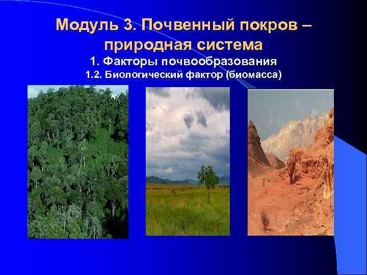 Модуль 3. Почвенный покров – природная система 1. Факторы почвообразования 1. 2. Биологический фактор