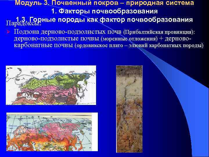 Модуль 3. Почвенный покров – природная система 1. Факторы почвообразования 1. 3. Горные породы