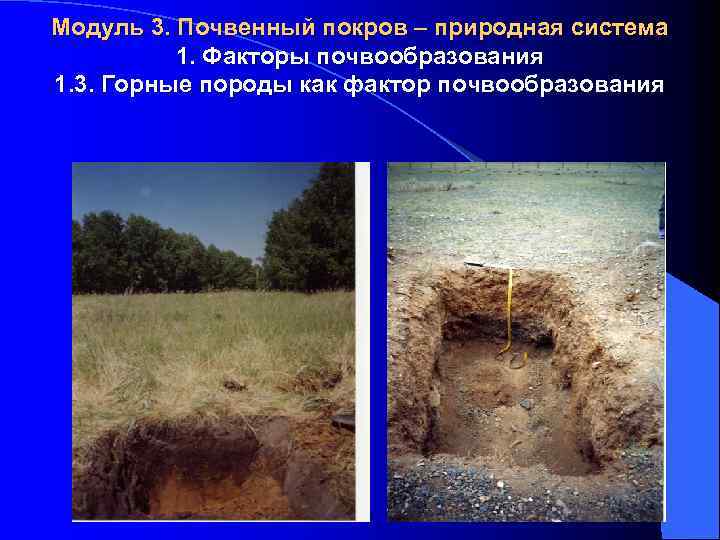 Модуль 3. Почвенный покров – природная система 1. Факторы почвообразования 1. 3. Горные породы