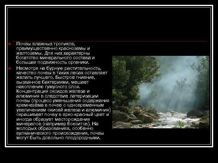 n n Почвы влажных тропиков, преимущественно красноземы и желтоземы. Для них характерны богатство минерального