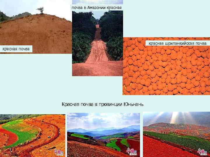 почва в Амазонии красная шриланкийская почва красная почва Красная почва в провинции Юньнань 