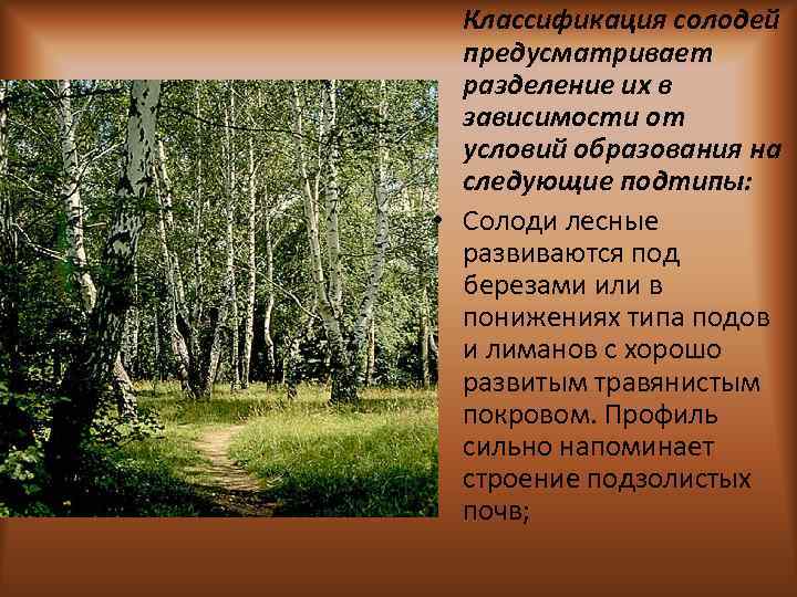 Классификация солодей предусматривает разделение их в зависимости от условий образования на следующие подтипы: •