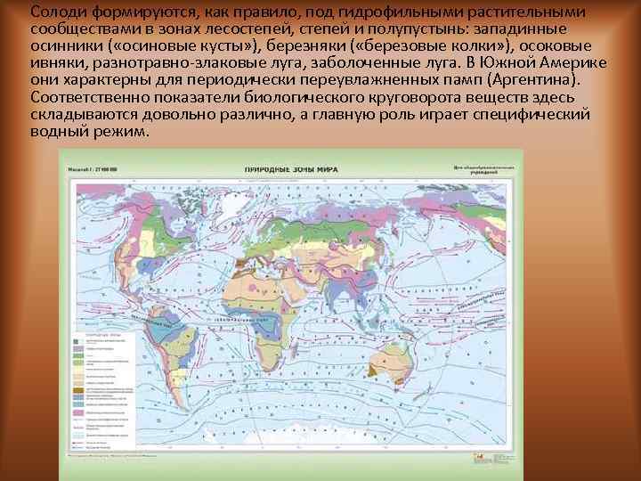 Солоди формируются, как правило, под гидрофильными растительными сообществами в зонах лесостепей, степей и полупустынь: