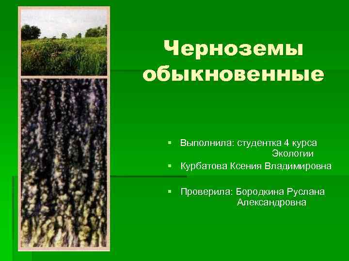 Черноземы обыкновенные § Выполнила: студентка 4 курса Экологии § Курбатова Ксения Владимировна § Проверила: