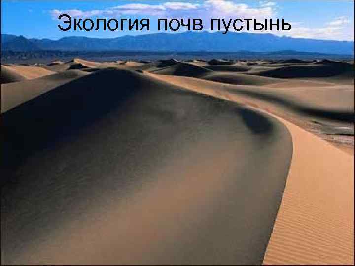 Экология почв пустынь 