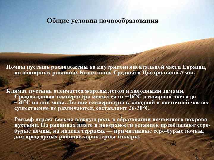 Общие условия почвообразования Почвы пустынь расположены во внутриконтинентальной части Евразии, на обширных равнинах Казахстана,