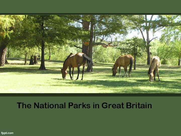 The National Parks in Great Britain 