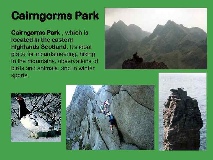 Cairngorms Park , which is located in the eastern highlands Scotland. It’s ideal place