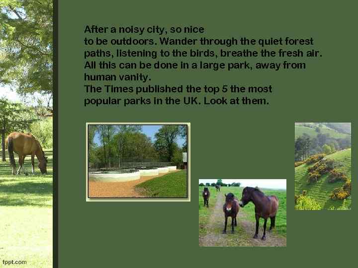 After a noisy city, so nice to be outdoors. Wander through the quiet forest